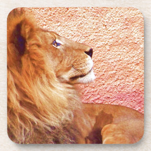 Staying Focused_ Coaster