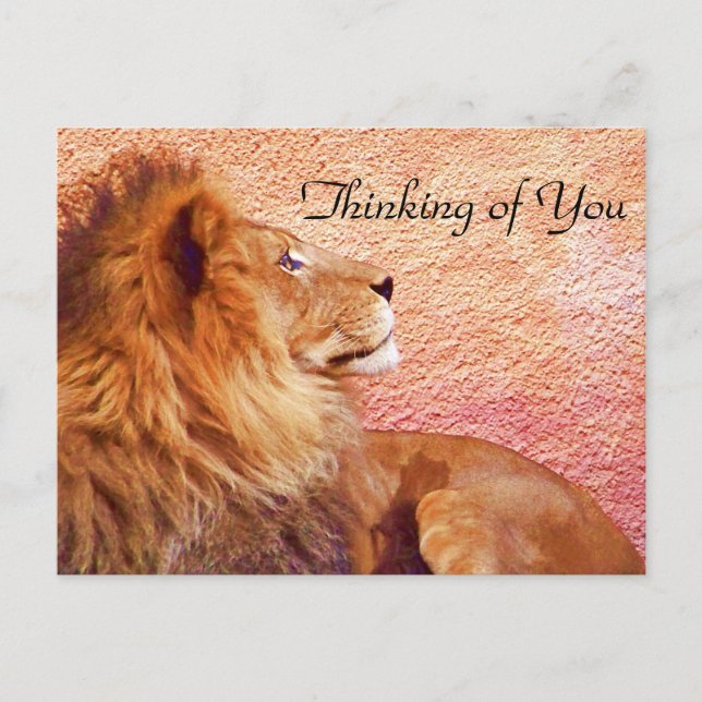 Staying Focused_ Postcard (Front)