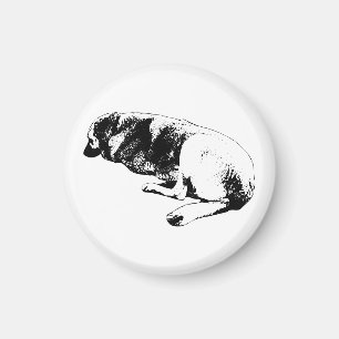 Staying Right Here Magnet