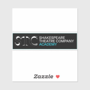 STC Academy Logo Sticker