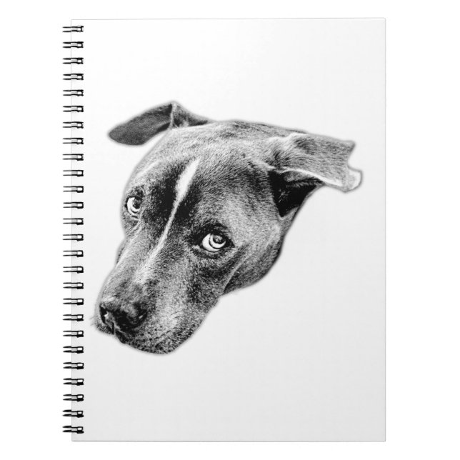  Steady Gaze for Steady Thoughts Notebook (Front)