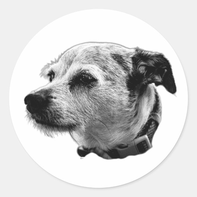  Steady Gaze Terrier Mix Sticker (Front)