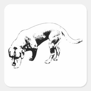 Steady Nose to Ground Square Sticker