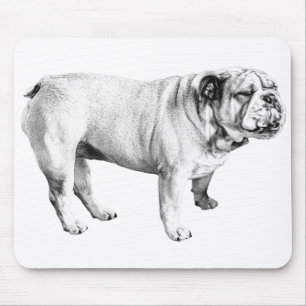 steady shade calm, bulldog mouse pad