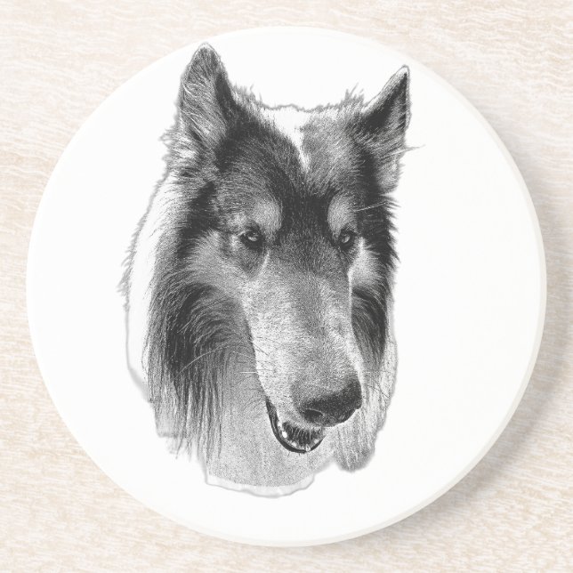Steady Surface – Collie Coaster (Front)