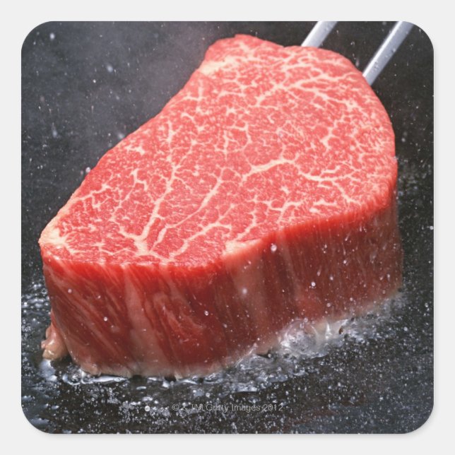 Steak Square Sticker (Front)