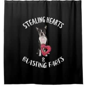 Stealing Hearts Blasting Farts Boston Terrier