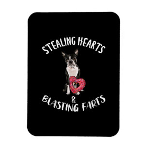 Stealing Hearts Blasting Farts Boston Terrier Magnet