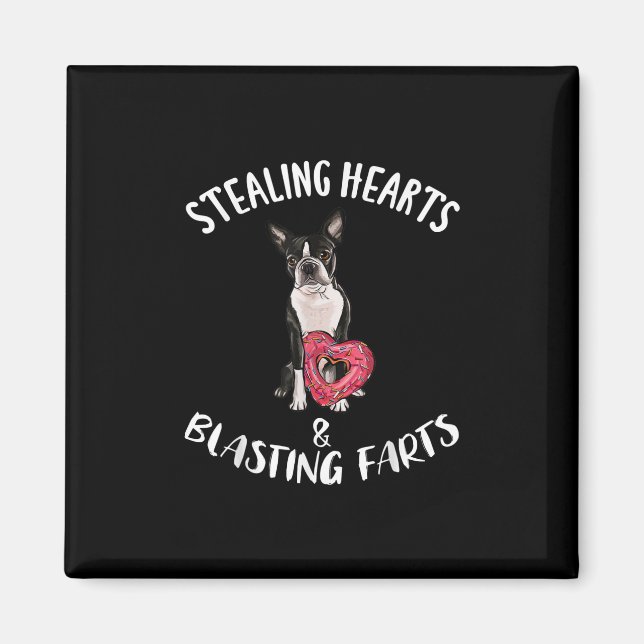 Stealing Hearts Blasting Farts Boston Terrier Magnet (Front)