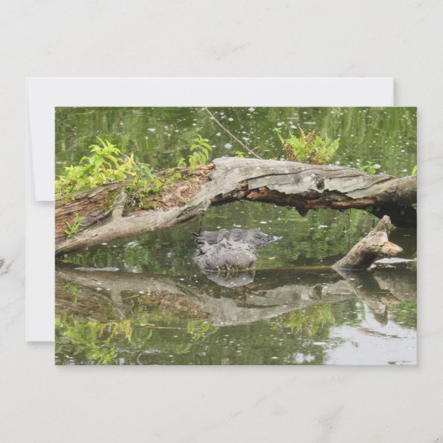 Stealth Alligator Flat Card (Front)