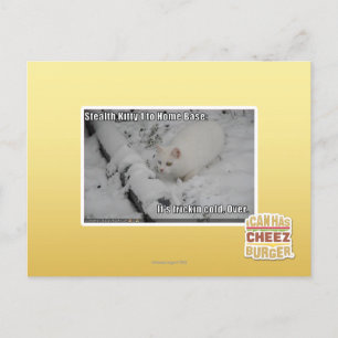 Stealth Kitty 1 Postcard