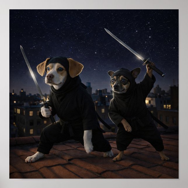 "Stealth Mode" Poster (Front)