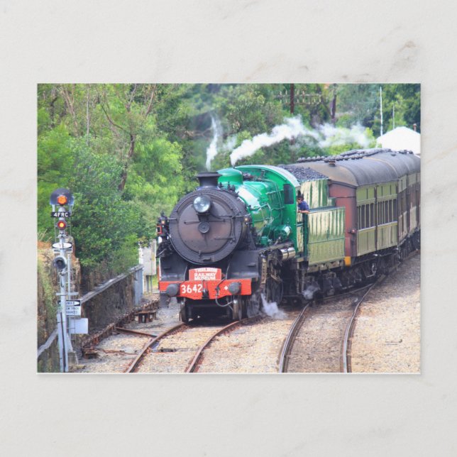 Steam Train at Picton Postcard (Front)