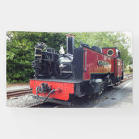 STEAM TRAIN