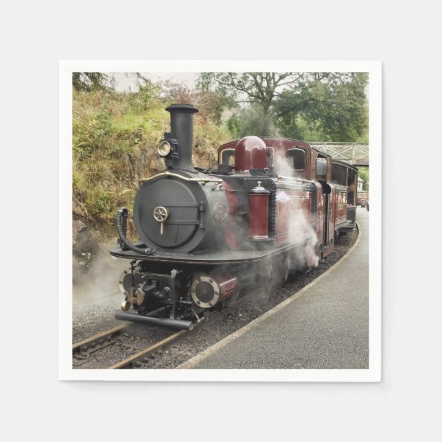 STEAM TRAIN NAPKIN (Front)