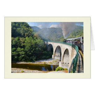 Steam train on bridge