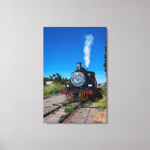 Steam Train On La Trochita Canvas Print