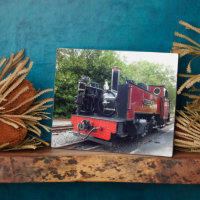 STEAM TRAIN