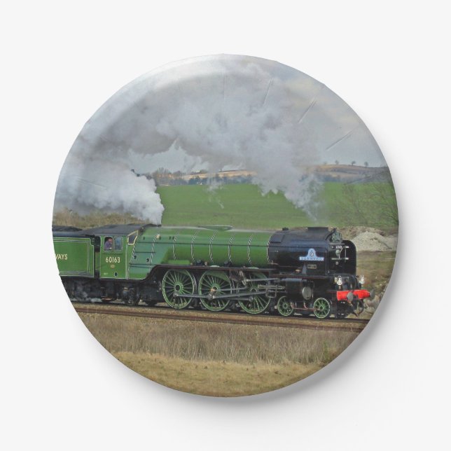 Steam train plates (Front)