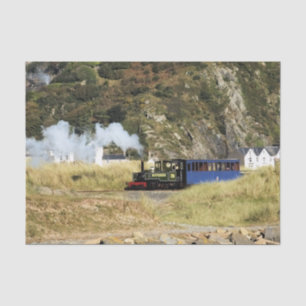 STEAM TRAIN TISSUE PAPER