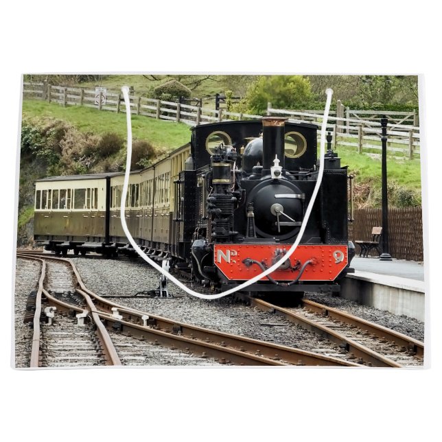 STEAM TRAINS LARGE GIFT BAG (Front)