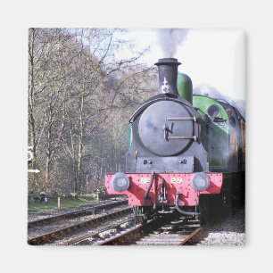 STEAM TRAINS MAGNET