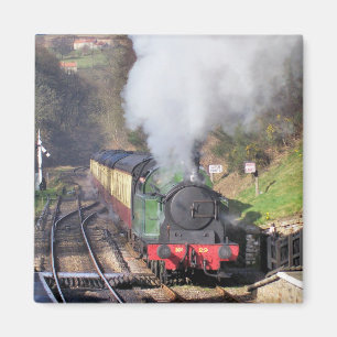 STEAM TRAINS MAGNET
