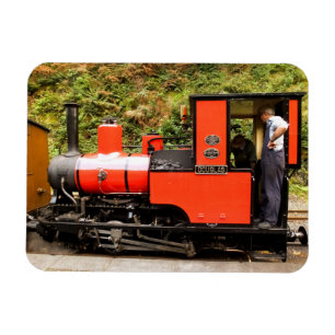 STEAM TRAINS  MAGNET