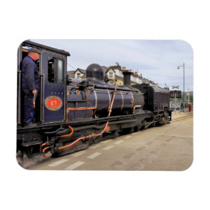 STEAM TRAINS MAGNET