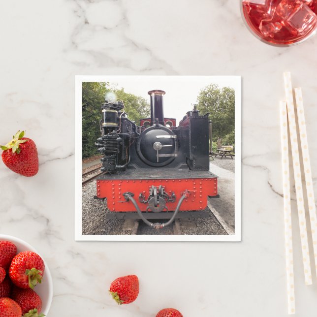 STEAM TRAINS NAPKIN (Insitu)