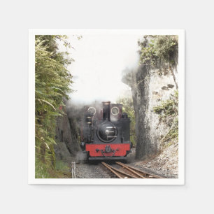 STEAM TRAINS NAPKIN