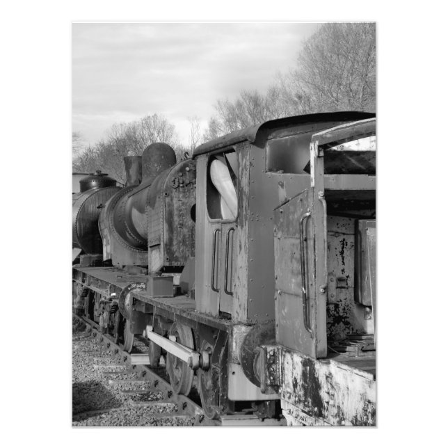 STEAM TRAINS PHOTO PRINT (Front)