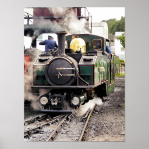 STEAM TRAINS POSTER