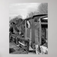 STEAM TRAINS