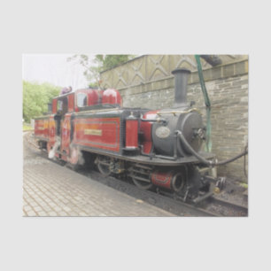 STEAM TRAINS TISSUE PAPER