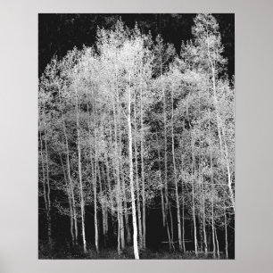 Steamboat, Routt County, Colorado Poster