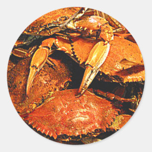 Steamed Maryland Hard Crabs Classic Round Sticker