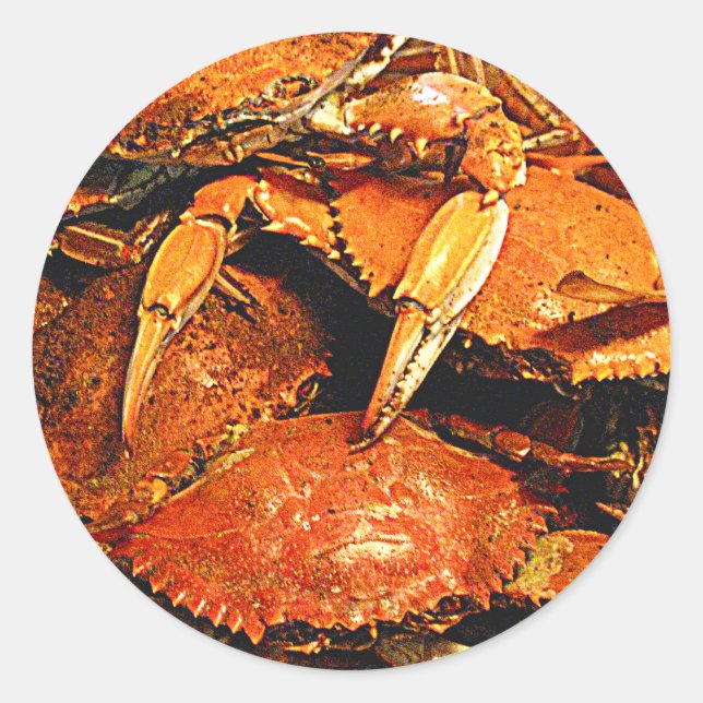 Steamed Maryland Hard Crabs Classic Round Sticker (Front)