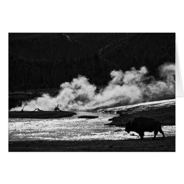 Steaming Bison - Card (Front Horizontal)