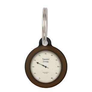 Steampunk Potential Energy Gauge Customizable Pet Tag