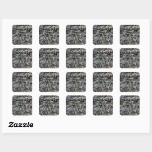 Steel, grey, green and blue spruce classy  medium  square sticker