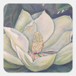 Steel Magnolia Flower Square Sticker
