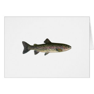 Steelhead (Great Lakes)