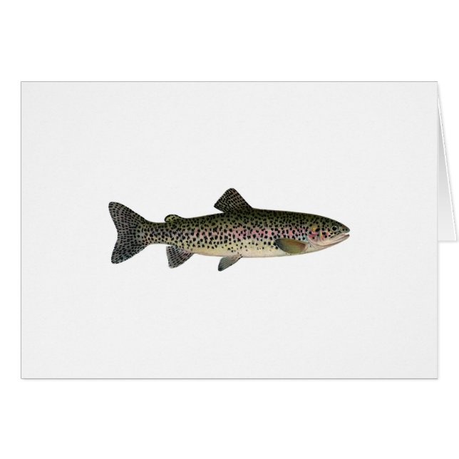 Steelhead (Great Lakes) (Front Horizontal)