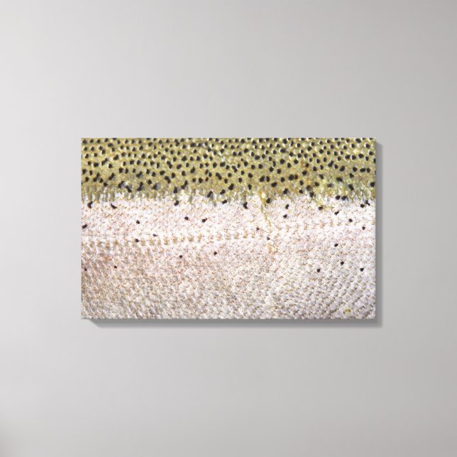 Steelhead on Canvas (Front)