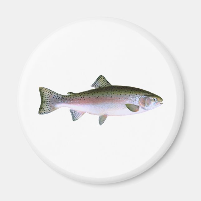 Steelhead Rainbow Trout Fishing  Logo Magnet (Front)