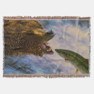 Steelhead salmon jumping into grizzly bears mouth throw blanket