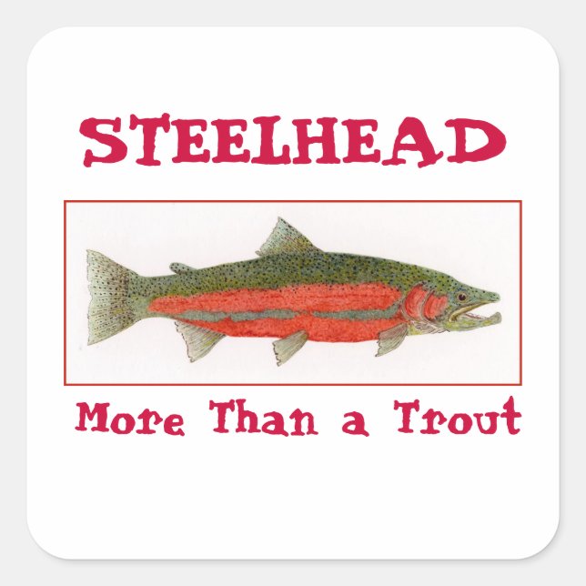 Steelhead Sticker (Front)