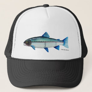 Steelhead Trout; Baseball Hat