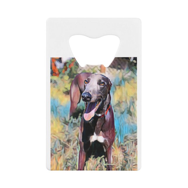 Steely Credit Card Bottle Opener (Front)